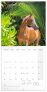 Poznámkový kalendář Koně – Christiane Slawik 2025, 30 × 30 cm 2