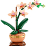 LEGO® Botanicals 10343 Miniaturní orchidej2
