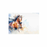 Dopisní papír barevný LUX 5+10 (Kůň) 3