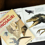 5 Fascinující dinosauři