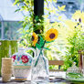 LEGO® Botanicals 40524 Slunečnice3