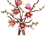 LEGO® Botanicals 11510 Větvičky magnólie2