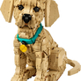 LEGO® Icons 11384 Štěně zlatého retrívra2