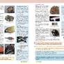 Přírodopis 9 - Geologie a ekologie, Čtení s porozuměním 3