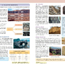 Přírodopis 9 - Geologie a ekologie, Čtení s porozuměním 4