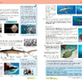Přírodopis 7 - Zoologie a botanika, Čtení s porozuměním 3