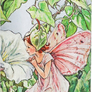 Diář Paperblanks 2027 Bindweed Fairy Mini Horizontal - 12M, Mini, horizontální  2