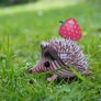 file_en_165679_l