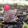 file_en_165680_l