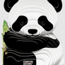 panda2