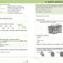 Přírodopis 8 - Biologie člověka (pracovní sešit) 3