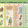 Český jazyk – Vyjmenovaná slova