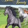 Classic Readers 1 Black Beauty - Reader