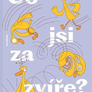 Co jsi za zvíře? - Příběh opeřenkyně