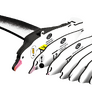 EUGY Albatros královský 3D kartonová skládačka