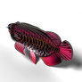 EUGY Arowana asijská 3D kartonová skládačka