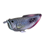EUGY Arowana stříbrná 3D kartonová skládačka