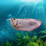 EUGY Arowana stříbrná 3D kartonová skládačka