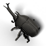 EUGY Brouk nosorožík 3D kartonová skládačka