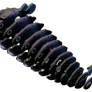 EUGY Ďas mořský 3D kartonová skládačka