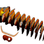 EUGY Kráva skotská 3D kartonová skládačka