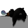 EUGY Medvěd černý 3D kartonová skládačka