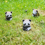 EUGY Panda velká 3D kartonová skládačka