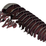 EUGY Pásovec 3D kartonová skládačka