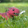 EUGY Tyranosaurus 3D kartonová skládačka