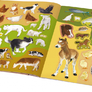 KONĚ, SLEPICE a další zvířátka z farmy – Kniha samolepek
