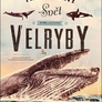 Nádherný svět moří a oceánů Velryby