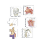 NAŠE TĚLO 35 d. EDU Puzzle