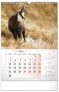 Nástěnný kalendář Myslivecký 2022, 33 × 46 cm