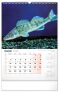 Nástěnný kalendář Rybářský 2025, 33 × 46 cm