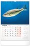 Nástěnný kalendář Rybářský 2025, 33 × 46 cm