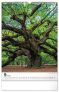 Nástěnný kalendář Stromy 2025, 33 × 46 cm
