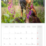 NOTIQUE Grid calendar Dogs 2027, 30 x 30 cm