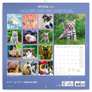 NOTIQUE Grid calendar Kittens 2027, 30 x 30 cm