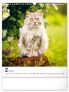 NOTIQUE Nástěnný kalendář Kočky 2025, 30 x 34 cm