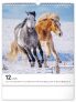 NOTIQUE Nástěnný kalendář Koně 2025, 30 x 34 cm