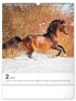 NOTIQUE Nástěnný kalendář Koně 2025, 30 x 34 cm