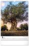 NOTIQUE Nástěnný kalendář Stromy 2025, 33 x 46 cm