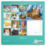 NOTIQUE Poznámkový kalendář Kočky 2025, 30 x 30 cm