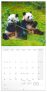 NOTIQUE Poznámkový kalendář Pandy 2025, 30 x 30 cm
