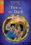Oxford Reading Tree TreeTops Time Chronicles 13 Fire In The Dark