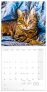 Poznámkový kalendář Kočky 2025, 30 × 30 cm