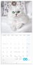 Poznámkový kalendář Koťata 2025, 30 × 30 cm
