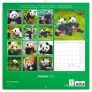 Poznámkový kalendář Pandy 2025, 30 × 30 cm