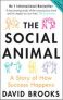 The Social Animal : A Story of How Success Happens