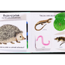 V zahradě - rozpohybovaná kniha  Kolektiv, ilustrace Amélie Faliére